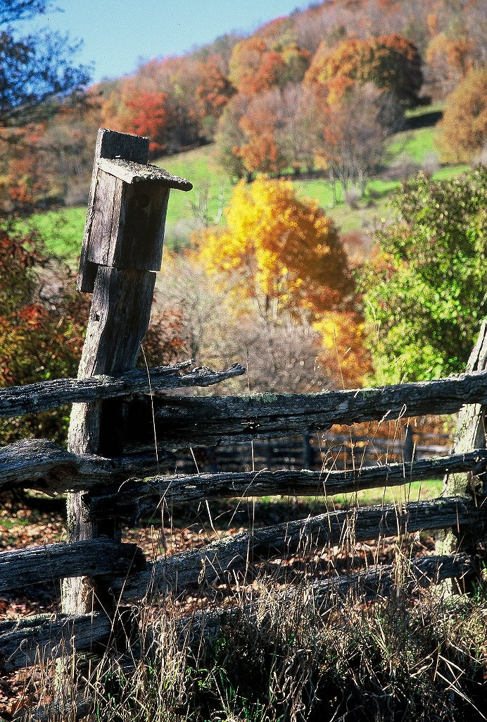 Autumn Home
