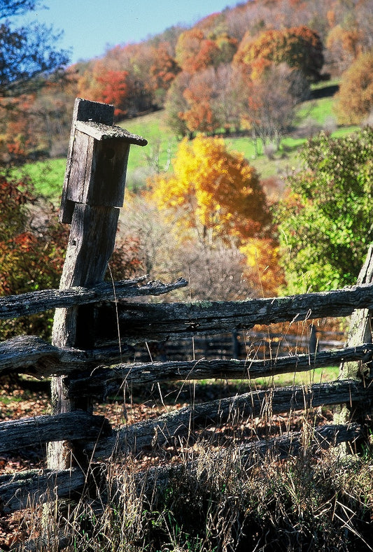 Autumn Home