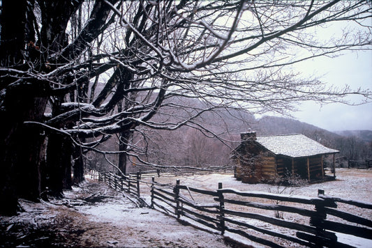 Cabin Fever
