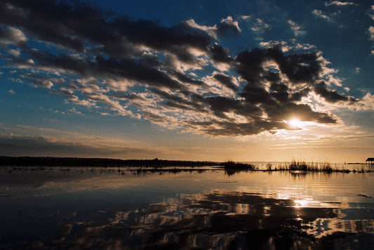 Flood Tide
